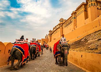 Jaipur Day Tour Sightseeing